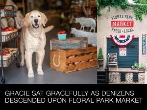 Gracie Sat Gracefully as Denizens Descended Upon Floral Park Market
