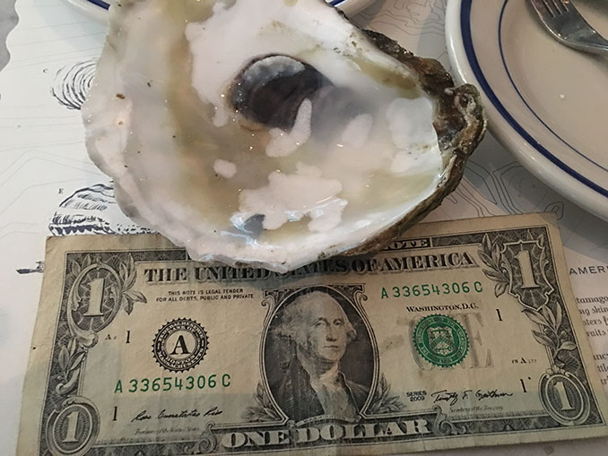 Look at the size of that oyster I done ate